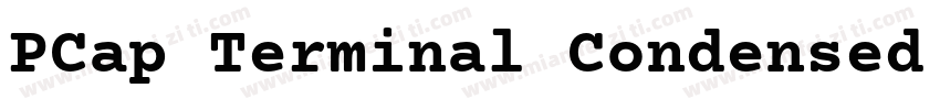 PCap Terminal Condensed Bold字体转换